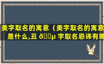 美字取名的寓意（美字取名的寓意是什么,丑 🐵 字取名忌讳有哪些）